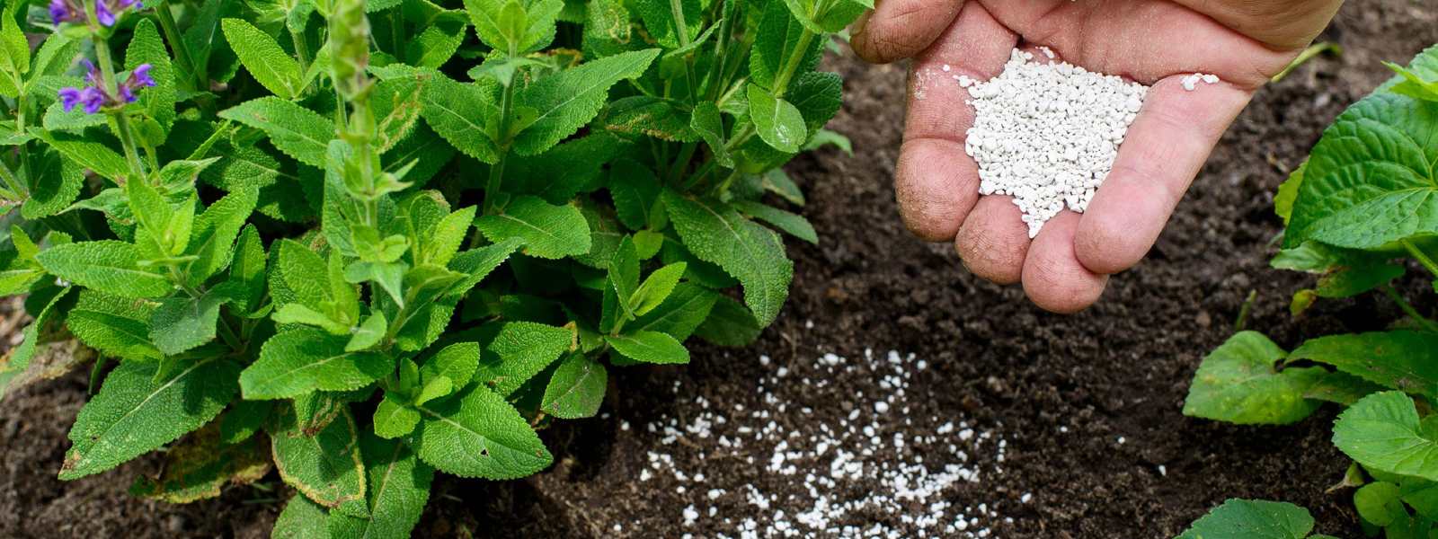 Inquiry into Organic Fertilizer Imports